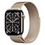 Gold Titanium