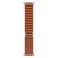 Apple Alpine Loop with Natural Titanium Finish for 49 mm Smartwatch, Terracotta, Medium