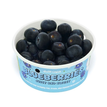 Bright Bites Pure Harvest Blueberries