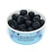 Bright Bites Pure Harvest Blueberries