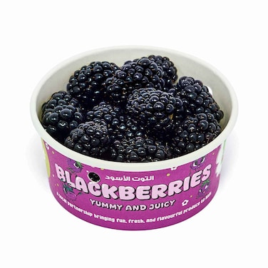 Bright Bites Pure Harvest Blackberries