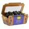 Pure Harvest Black Grapes Seedless 500g