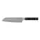 BergHoff Dina Collection Gene Series, Stainless Steel and ABS Santoku Knife, 18cm