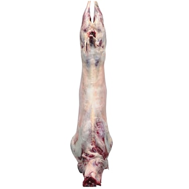 Tanzanian Goat Carcass Import