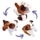 Addo Pitter Patter Pets Flip Over Puppy