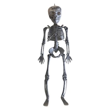 Halloween Skull Skeleton