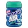 Mentos Air Action Sugarfree Eucalyptus Menthol Chewing Gum, 49g