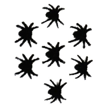 Single Burr Spider