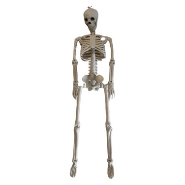 Halloween Skeleton Man