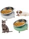 NALACAL 2Pcs Raised Cat Bowl, 15&deg; Slanted Elevated Dog and Cat Bowls Set, Stainless Steel Kitten Food Water Bowls, Non-Slip Detachable Pet Feeder for Indoor Cats Dogs, White&amp;Green