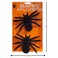 Spider Set, 12x10cm, 2 PCS