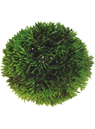 Hobby 41540 Plant Ball, 9 cm