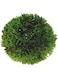 Hobby 41540 Plant Ball, 9 cm