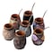 Leather Cup with Straw