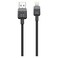 Cellairis GaN 2 QC 3.0 and PD Port Charger with Lightning Cable, Black, 30 W