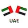 UAE Hand Flag, 20x28cm