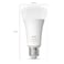 Philips Hue Smart Bulb, 100W, A67, E27, 1600 Lumens