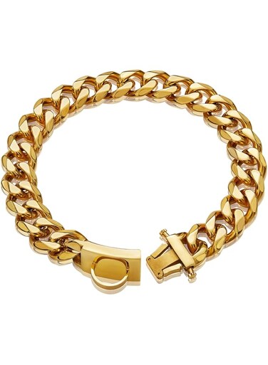W/W Lifetime Gold Dog Chain Collar Walking Metal with Design Secure Buckle (12in)