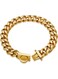 W/W Lifetime Gold Dog Chain Collar Walking Metal with Design Secure Buckle (12in)