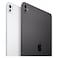 Apple iPad Pro Nano Texture Glass Tablet, 1TB, Silver, 11-Inch, 16 GB RAM, 12 MP Camera, Multi Window Display, Wi-Fi and 5G