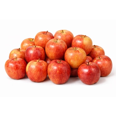 Apple Royal Gala Jumbo USA