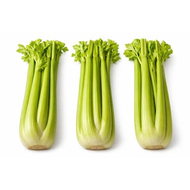 Celery Stick Import