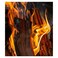 Bad Axe Wottle Braai Wood, 21 L