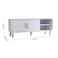 Errol 2 Doors TV Cabinet Up to 32 Inch- White