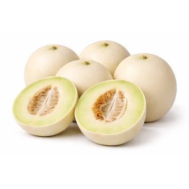 Melon Honey Dew USA