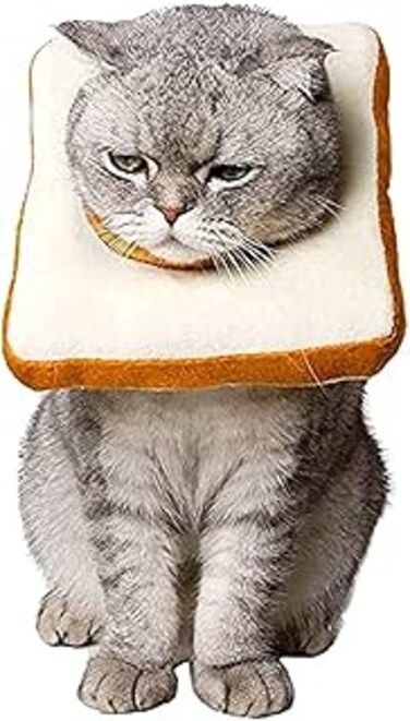 OOMYL Cat Cone Collar Soft Recovery Collar for Cats After Surgery, Adjustable Cat Neck Cones to Stop Licking for Cat/ Kitten/ Small Dog