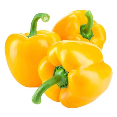 Capsicum Yello