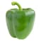 Capsicum Green Local