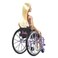 Barbie Wheelchair Fashion Doll Set