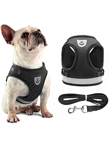 NeoStyle Dog Harness with Leash Set,No Pull Adjustable Reflective Step-in Puppy Harness with Padded Vestfor Extra-Small/Small Medium Large Dogs and Cats (L, Black(2-piece set))