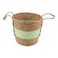 Green Stripe Woven Tall Basket, Medium