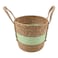 Green Stripe Woven Tall Basket, Small