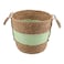 Green Stripe Woven Tall Basket, Large