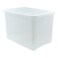Storage Organizer Box with Lid, Transparent, 42L