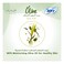 Sofy Olive Cotton Touch Pantyliners, Long, 36 Liners