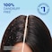 Head &amp; Shoulders Menthol Fresh Anti-Dandruff Shampoo, 350ml, Pack of 3