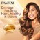 Pantene Pro-V Anti Hair Fall Golden Repair Duo Leave-On Hair Cream Set, 275ml and 270ml