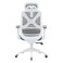 نورواي كرسي مكتب عالي الظهر - رمادي/أبيض