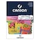 Canson Draw Pad, 24 Sheet