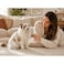 Delight Cat Wet Food Creamy Treat Tuna Flavor Gel Snacks, 10g Pack of 5
