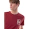Tex Men Regular Fit Essential T-Shirt, Merlot, Medium
