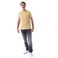 Tex Men Regular Fit Essential T-Shirt, Golden, Medium