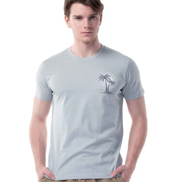 Tex Men Regular Fit Essential T-Shirt, Nude, L, I275039