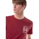 Tex Men Regular Fit Essential T-Shirt, Merlot, XL