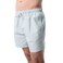Tex Men Regular Fit Swim Shorts, Sage Green, I274952, Small