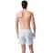 Tex Men Regular Fit Swim Shorts, Sage Green, I274952, Large